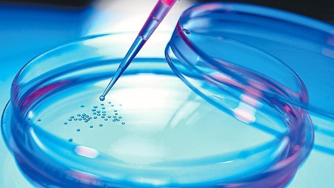 KORIL approves Cellect's grant application for stem cells therapy