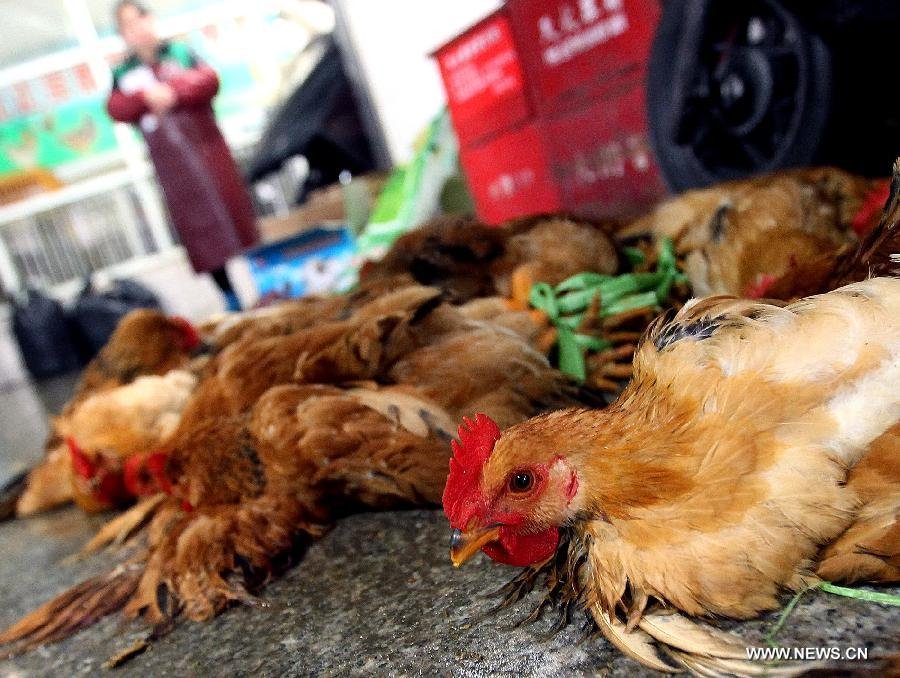Guangdong province is one of provinces with the highest number of H7N9 cases during the second bout of the influenza