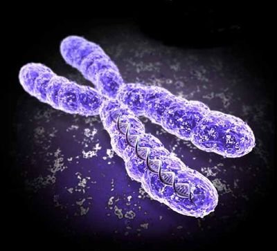 Beijing Genomics Institute and INEX offer iGeneScreen for prenatal chromosomal testing 