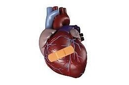 Central blood pressure is considered to be a more accurate indicator of the pressure the heart and other vital organs 