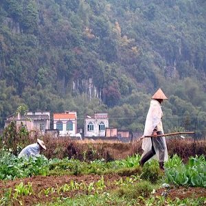 The proposal aims to establish one general hospital and one Traditional Chinese medicine hospital in rural areas (PC:www.asianews.it)