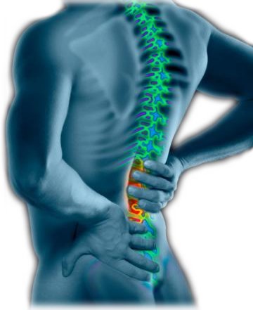 Eli Lilly phase III trial compares effects of FORTEO and risedronate on back pain