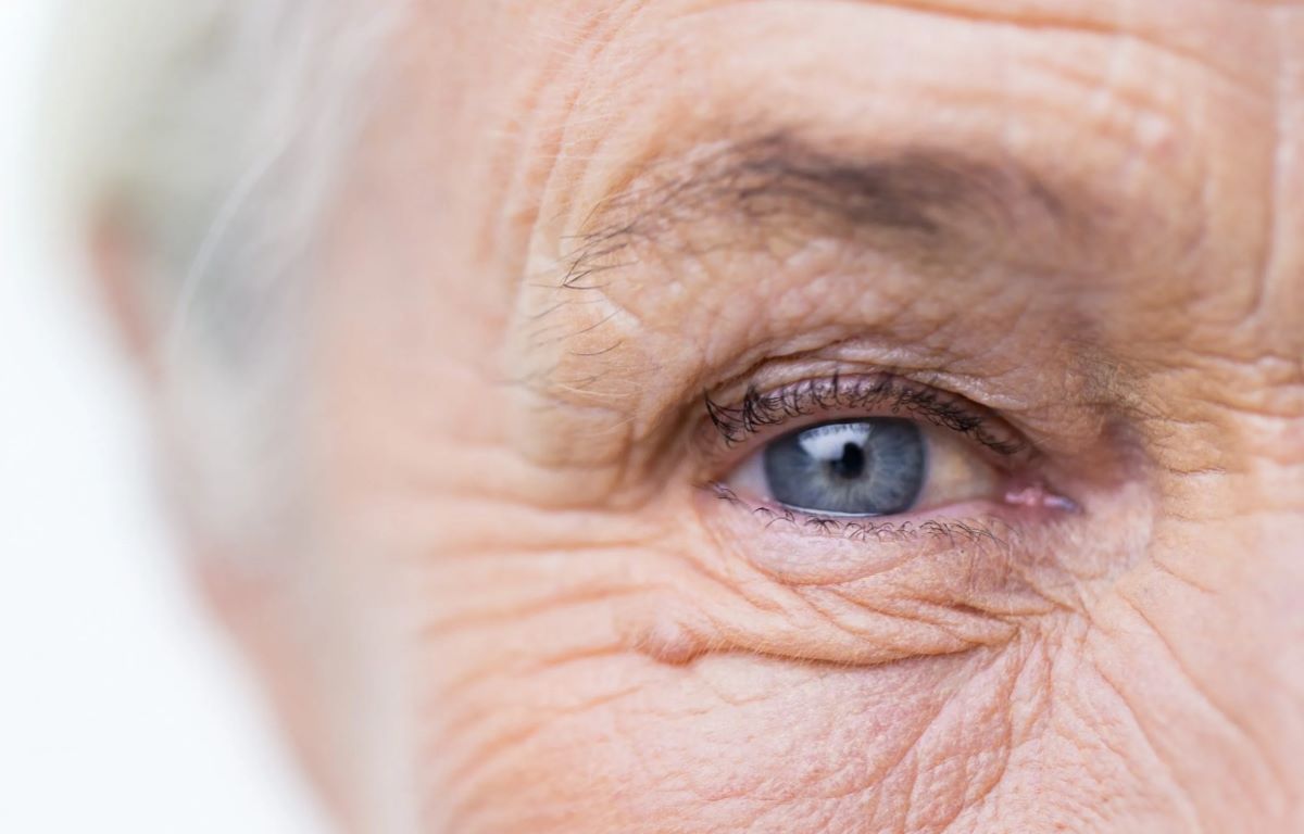 Roches Vabysmo Improves Vision In Asian Patients With A Prevalent Form Of Neovascular Age