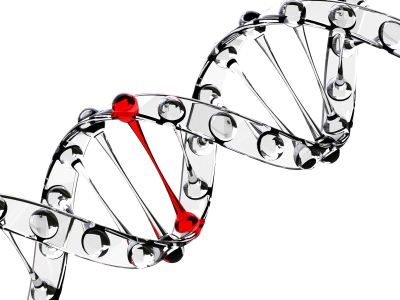 By testing for the presence of FLT3 or ITD mutations, patients who are qualified for administration of FLT3-targeted drugs can be identified