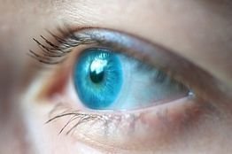 Good news for eye patients - Oxford University and Wellcome Trust-subsidiary Syncona form Nightstar 