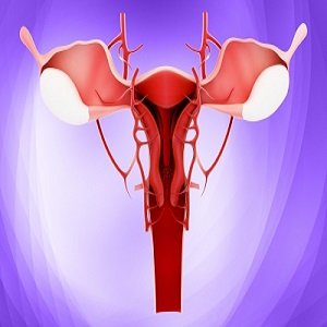 Exabalate procedure to be offered in three China hospitals to treat women with uterine fibroids