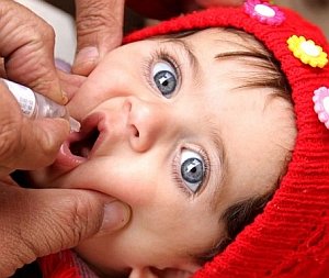 Intradermal delivery of polio vaccines may dramatically reduce the dose required for vaccination by several folds, thereby reducing the cost and increasing the affordability