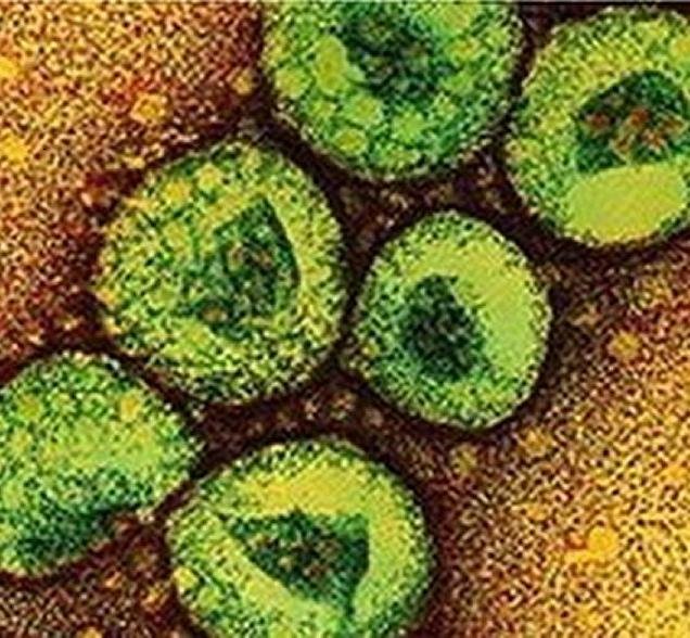 The World Health Organisation has said that the MERS coronavirus has caused 38 worldwide fatalities and has infected a total of 64 people