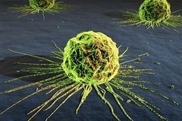 MiReven study demonstrates the anti-cancer potential of micro RNA miR-7