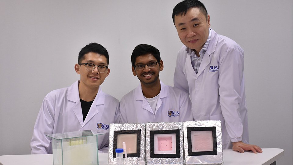 Image Courtesy: NUS Hydrogel Research Team