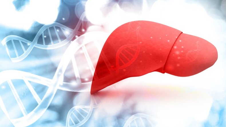 Can-Fite to treat advanced liver cancer patients with Namodenoson 