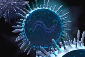 image credit- shutterstock