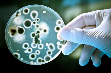 Shanghai MengKe to help develop MRX-I to deal with MDR gram-positive bacteria