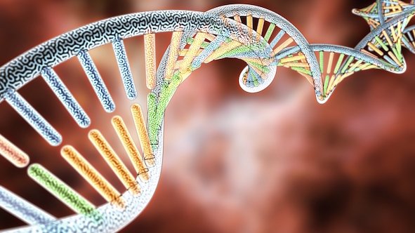 Israel uses genome editing to destroy cancer cells