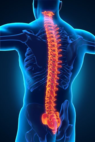 MTS to help medical device companies for 3D-Printed Spinal Implants
